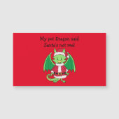 私のペットのドラゴンが言った (正面)