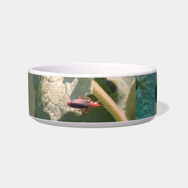 私のペットのボウル/MED.&LG /セラミック/#mmetropolim ボウル (左)