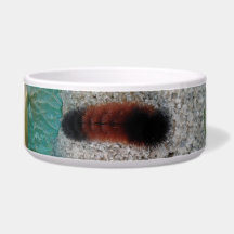 私のペットのボウル/MED.&LG /セラミック/#mmetropolim