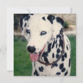 私のペットの友達 オリジナル写真をアップロード カスタム カード