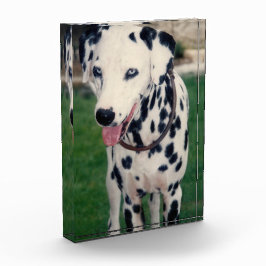 私のペットの友達 オリジナル画像をアップロード 犬 猫 フォトブロック