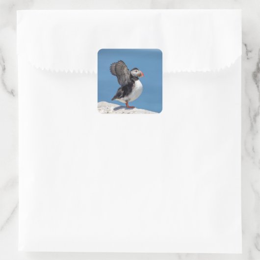 私のマキャスの大西洋パフィン スクエアシール (バッグ)