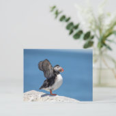 私のマキャスの大西洋パフィン ポストカード (スタンド正面)