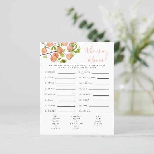 私のママ赤ちゃんシャワーのゲームである桃 (スタンド正面)