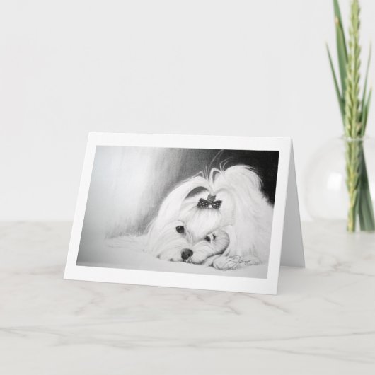 私のマルチーズ カード (正面)