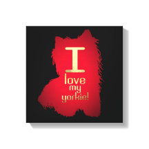 私のヨークシャーテリア