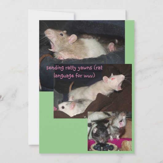 私のラットカードを預かってくれてありがとう サンキューカード (裏面)