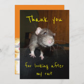 私のラットカードを預かってくれてありがとう サンキューカード (正面/裏面)
