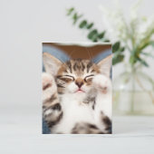 私のラップの子ネコ ポストカード (スタンド正面)