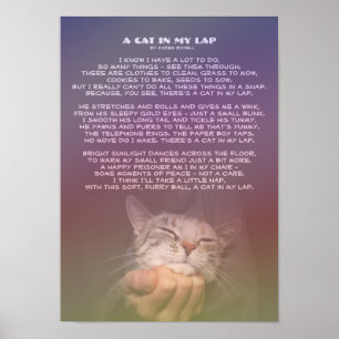 私のラップの猫 ポスター