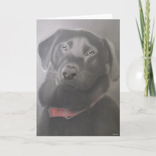 私のラブラドール カード (正面)