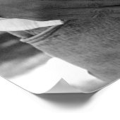 私のレビ ポスター (角)