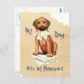 私のローデシアン食べリジェバック私の宿題はがき ポストカード (正面/裏面)