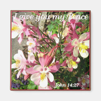 「私の与え安全を！」 マグネット