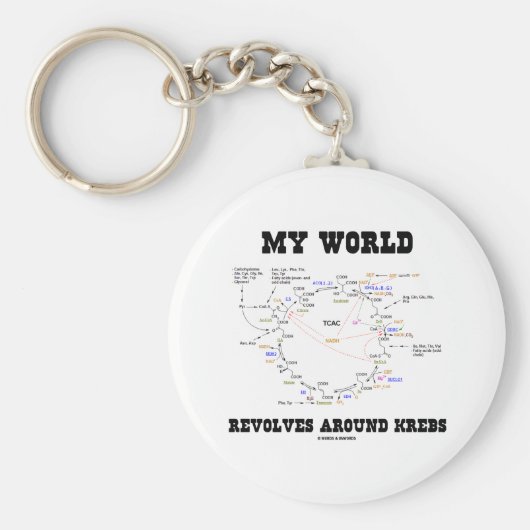 私の世界はクレブのまわりにスをリボルブ（エネルギーサイクル） キーホルダー (正面)