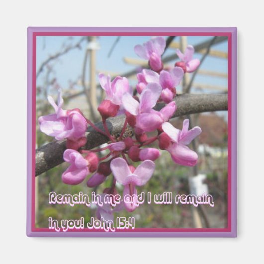 私の中に残る… マグネット (正面)