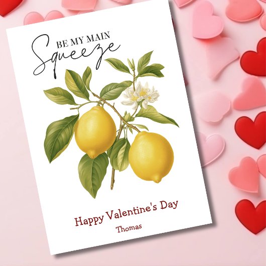 私の主なスクイおもしろいズバレンタインデー シーズンカード