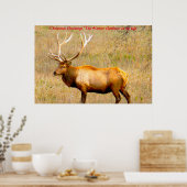 私の人生で狩猟採集家にクリスマスの挨拶をする ポスター (キッチン)