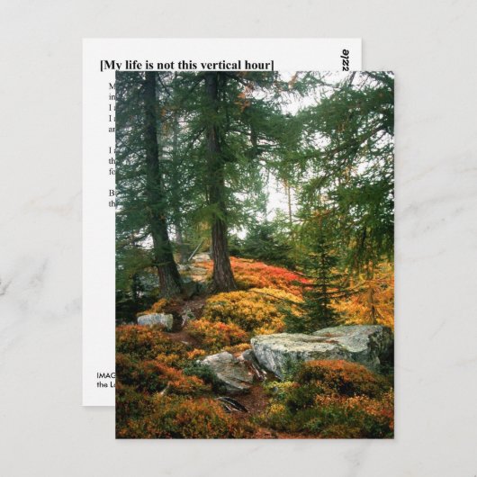 私の人生はこの垂直な時間ではない ポストカード (正面/裏面)