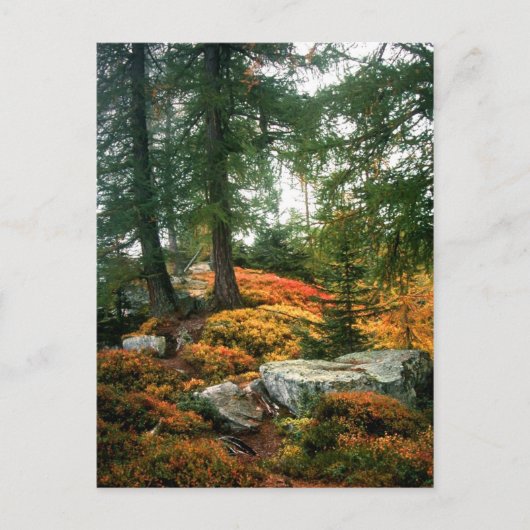 私の人生はこの垂直な時間ではない ポストカード (正面)