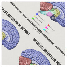私の人生は脳移植を考えることになった