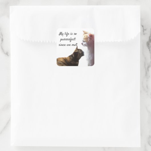 私の人生は2匹の猫の写真 スクエアシール (バッグ)