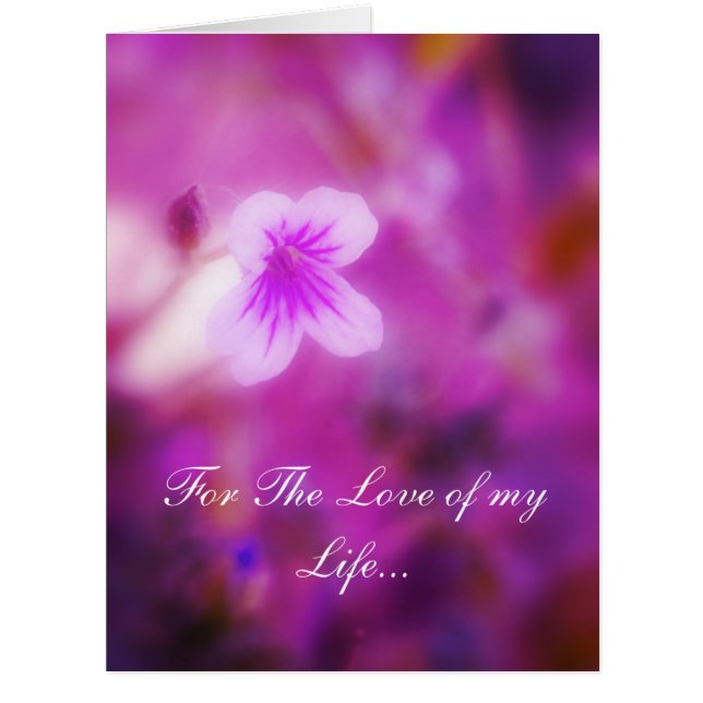 私の人生を愛して夢見る (正面)