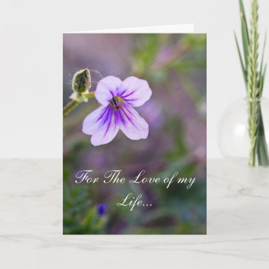 私の人生を愛して シーズンカード (正面)