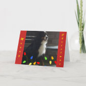 **私の人生を明るくしてくれ**聖降誕祭お目出度う シーズンカード (正面)