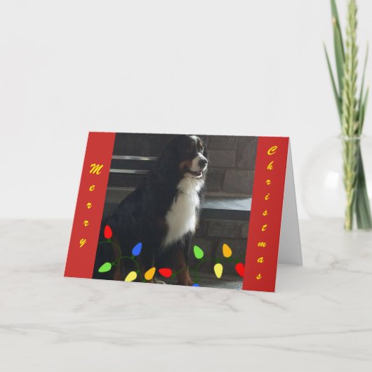 **私の人生を明るくしてくれ**聖降誕祭お目出度う シーズンカード (正面)