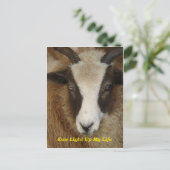 私の人生を明るくする ポストカード (スタンド正面)