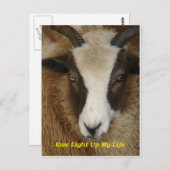 私の人生を明るくする ポストカード (正面/裏面)