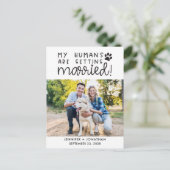 私の人間が結婚した犬の写真を日付以外 案内ポストカード (スタンド正面)