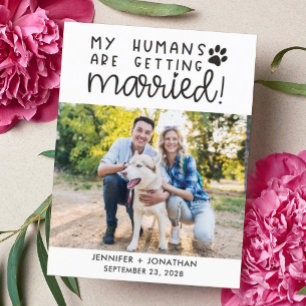 私の人間が結婚した犬の写真を日付以外 案内ポストカード