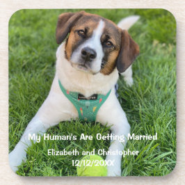 私の人間が結婚している婚約写真 コースター