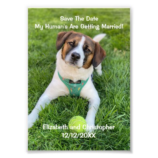 私の人間が結婚している婚約写真 フォトプリント            (正面)