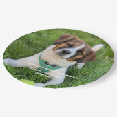 私の人間が結婚している婚約写真 ペーパープレート (アングル)