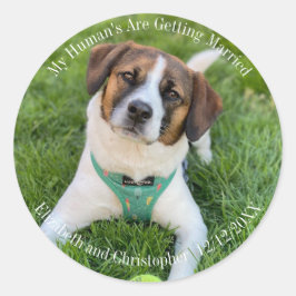 私の人間が結婚している婚約写真 ラウンドシール