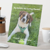 私の人間が結婚している婚約写真 台座サイン (インサイチュ)