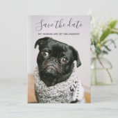 私の人間が結婚している犬の写真を保存する 招待状 (スタンド正面)