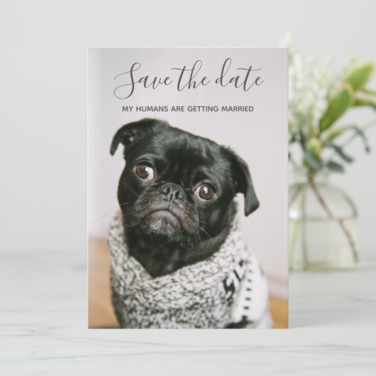 私の人間が結婚している犬の写真を保存する 招待状 (スタンド正面)