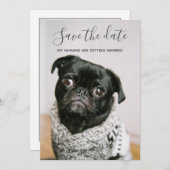 私の人間が結婚している犬の写真を保存する 招待状 (正面/裏面)