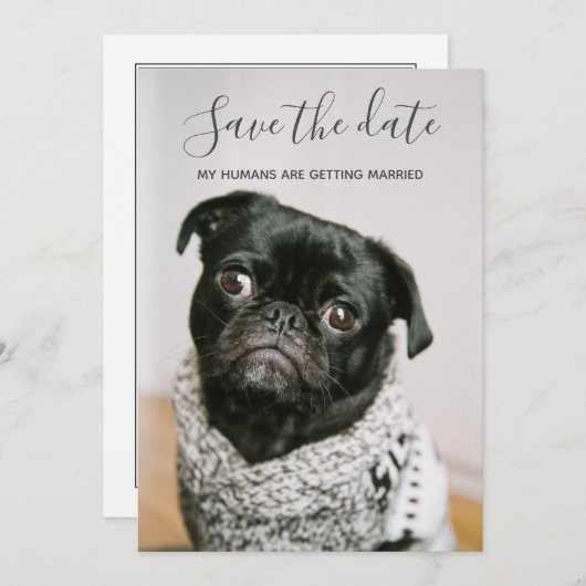 私の人間が結婚している犬の写真を保存する 招待状 (正面/裏面)