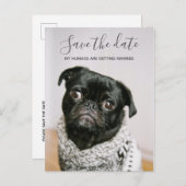 私の人間が結婚している犬の写真を保存する 案内ポストカード (正面/裏面)