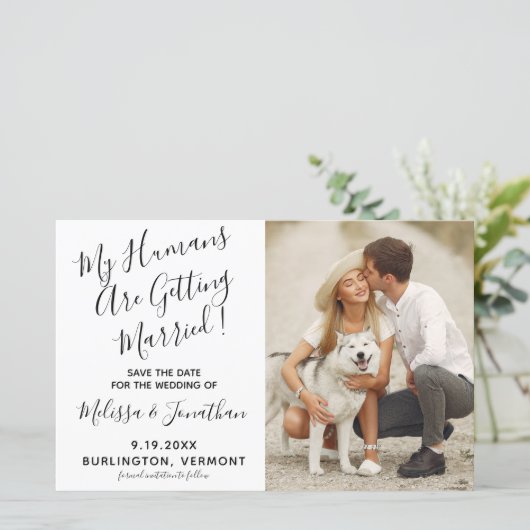 私の人間が結婚している犬の結婚予算 (スタンド正面)