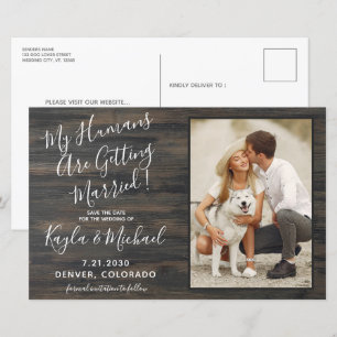 私の人間が結婚するペットの写真結婚犬