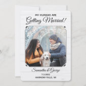 私の人間が結婚！ペット、デート 招待状 (正面)