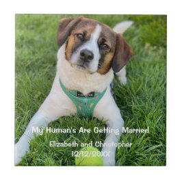 私の人間の結婚式 エンゲージメントフォト タイル