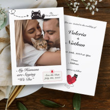 私の人間はことわざWe do Cat Photo