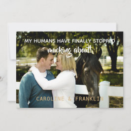 私の人間はストップ婚約にうるさい 招待状